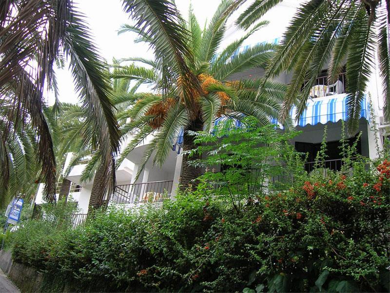Apartmani I Sobe Goca Herceg Novi Exteriér fotografie