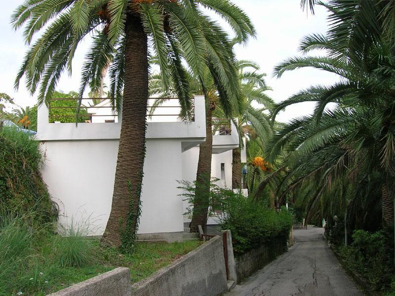 Apartmani I Sobe Goca Herceg Novi Exteriér fotografie