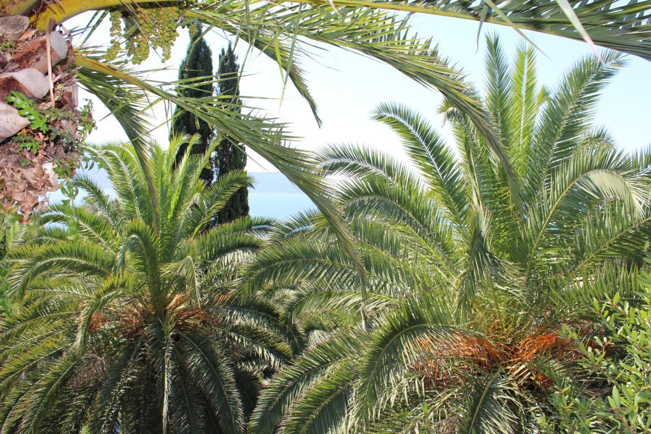 Apartmani I Sobe Goca Herceg Novi Exteriér fotografie